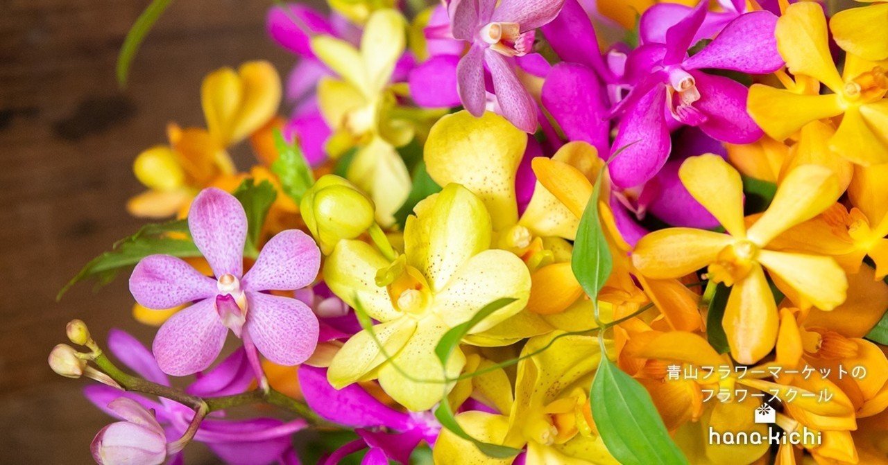 Mokara モカラ リゾート気分を味わえる花 フラワースクール Hana Kichi Note Mokara モカラ リゾート気分を味わえる花 フラワースクール Hana Kichi Note