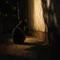 野良猫🐈⬛
