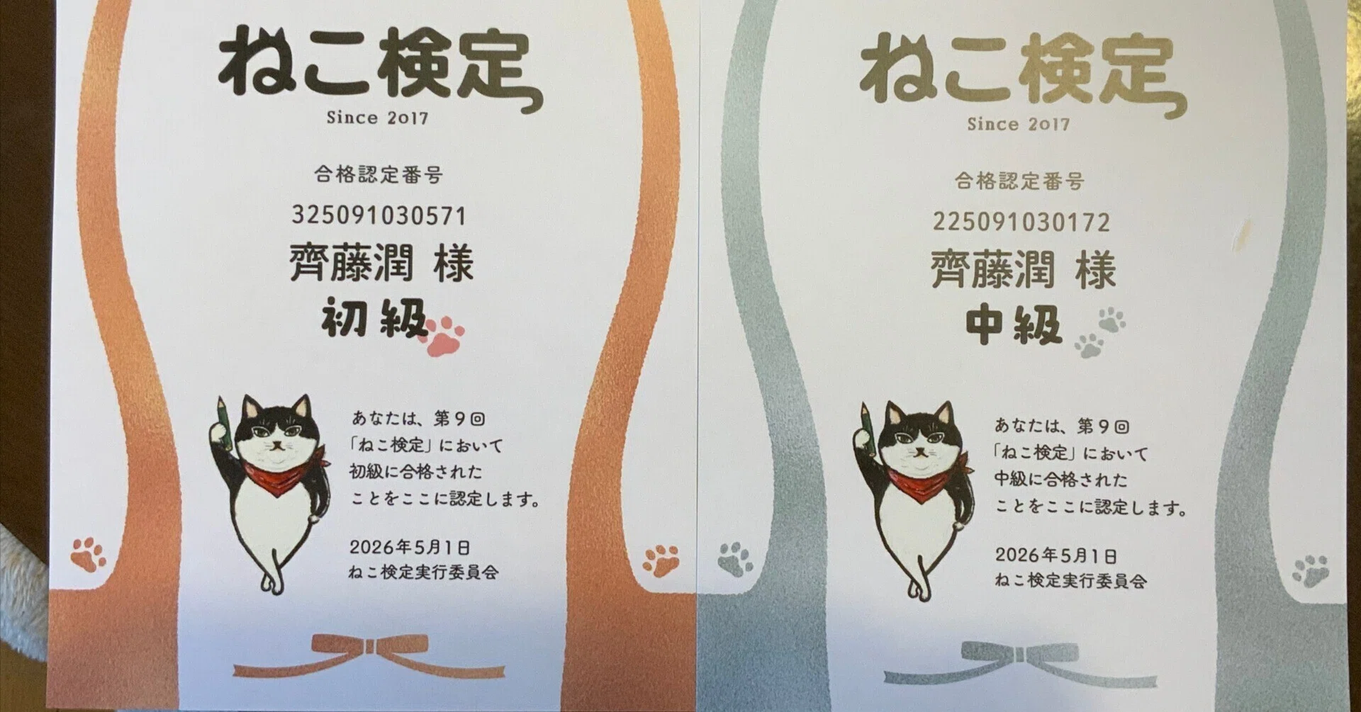 ご報告】ねこ検定、初級・中級ダブル合格！〜noteで見つけた猫愛と
