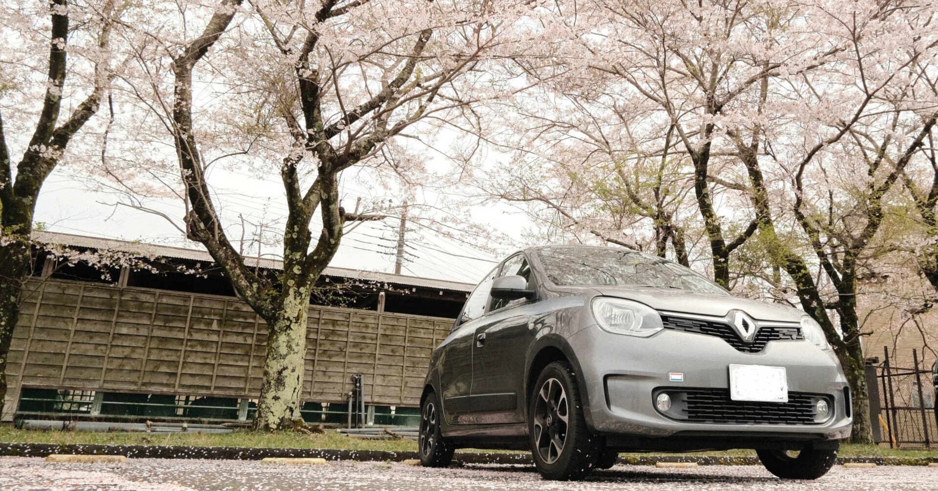 TwinGo3で行く｜春の宮ヶ瀬湖畔 お花見🌸ぷちツーリング｜SFj1966