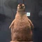 うさぎ