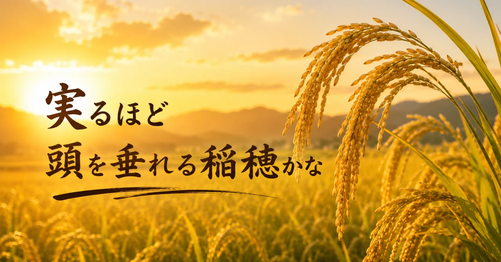 実るほど頭を垂れる稲穂かなさん専用 実るほど頭を垂れる稲穂かな｜まごろく