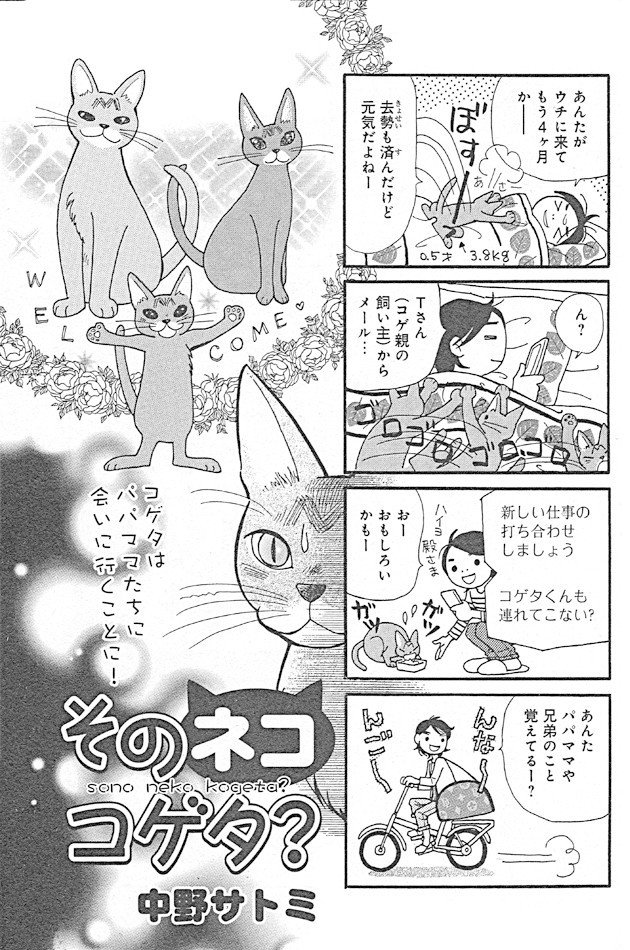 ネコ漫画 そのネココゲタ メディアックス掲載分第6話 中野サトミ Note