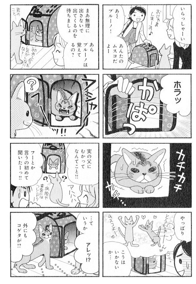 ネコ漫画 そのネココゲタ メディアックス掲載分第6話 中野サトミ Note