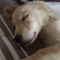 二次会行きません