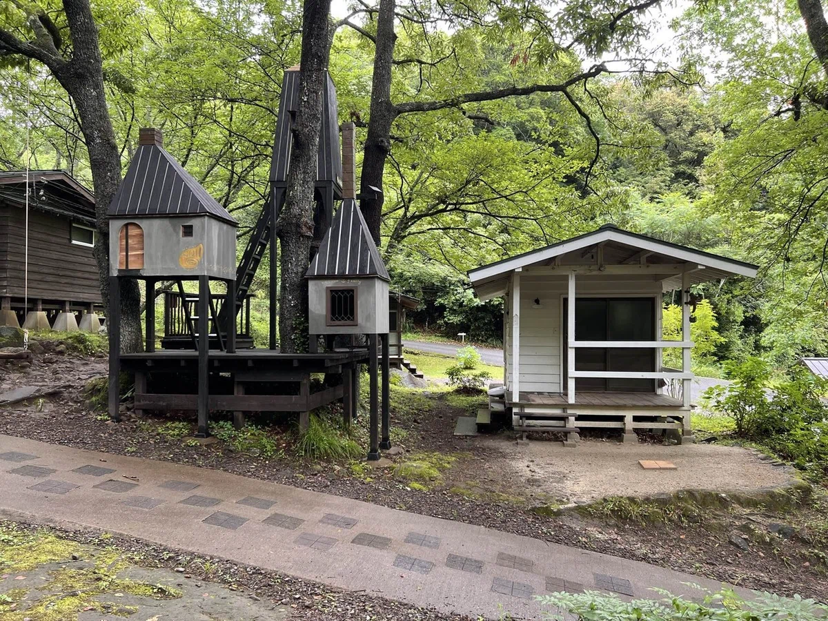 出逢った場所は、荒れ果てた森。｜バルンバルンの森 | 大分県耶馬渓にある小さな森のキャンプ場