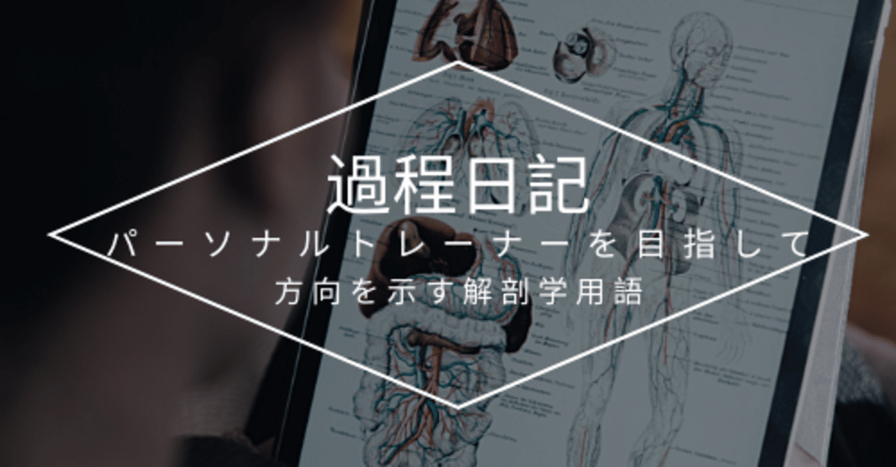 解剖学用語を日英で 過程日記 山形元気 Note 解剖学用語を日英で 過程日記 山形元気 Note