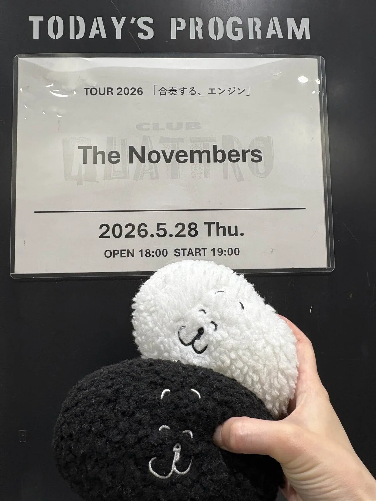 Penampilan The Novembers di Umeda Club Quattro - suasana konser