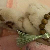 住宅評論家が自宅マンションでゾーッとした ハイヒールの足音 櫻井幸雄 Note