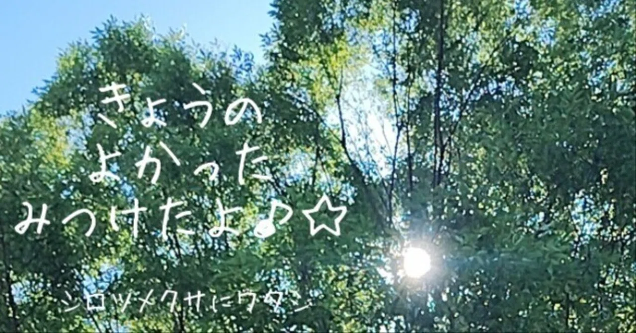 見出し画像
