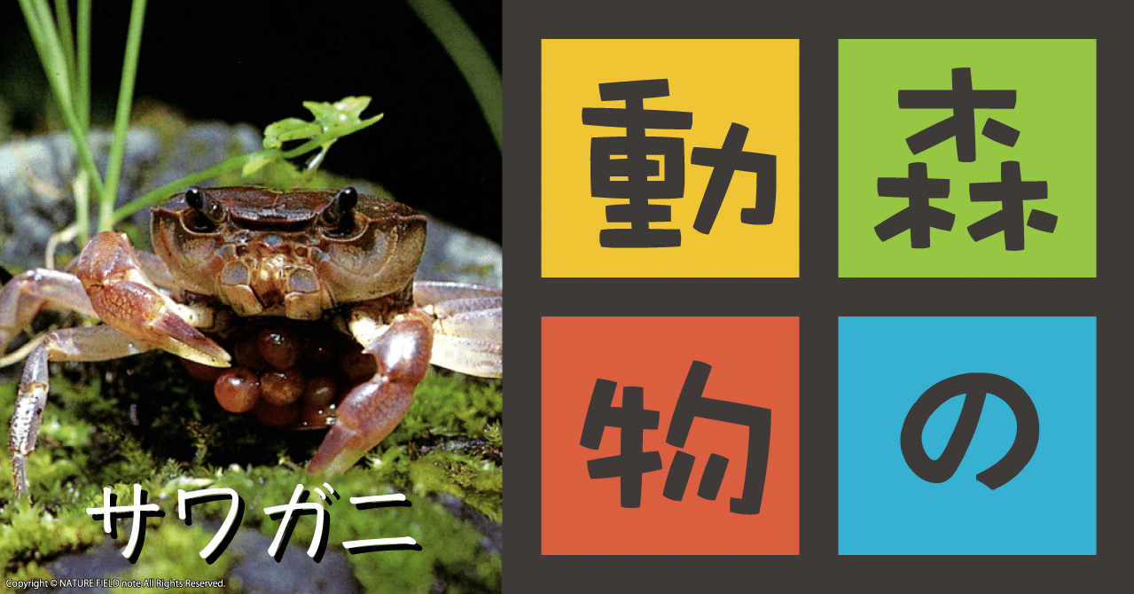 d39a8c9dbb960f948ed49122e64dbc