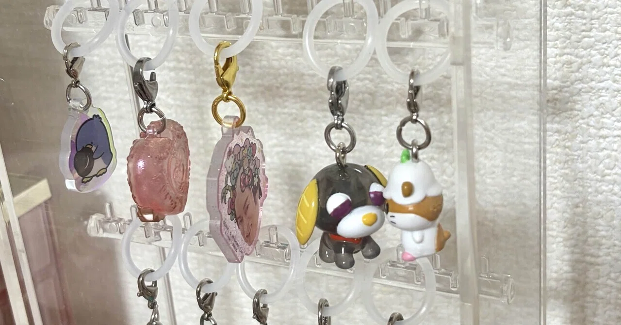 無印良品 アクリルケース　めじるしケース　めじるし　収納 無印のアクリルケースでめじるしアクセサリー収納！｜じみー