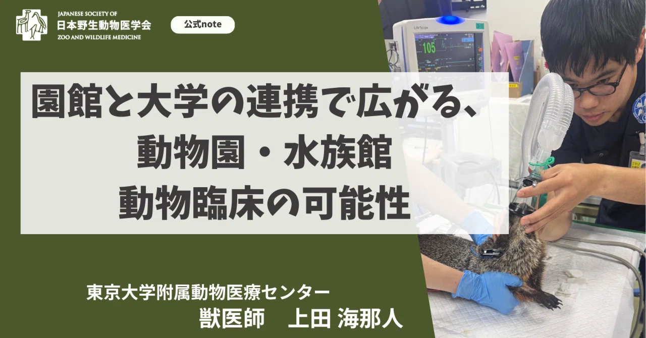 園館と大学の連携で広がる、動物園・水族館動物臨床の可能性【会員活動