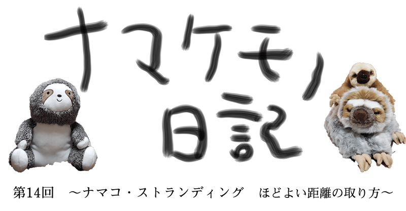 ナマケモノ日記　第14回～ナマコ・ストランディング　ほどよい距離の取り方～