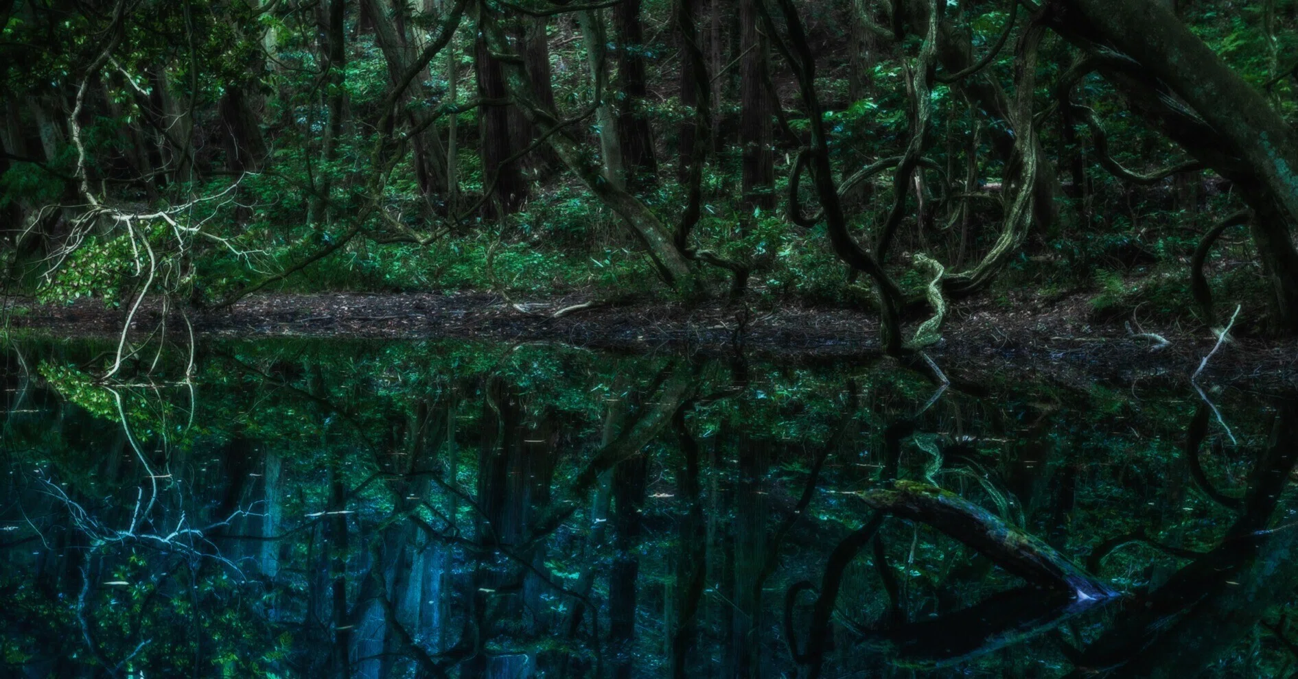 Tree of Being — The Roots of Creation｜存在の樹｜小関一成