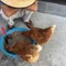 カウンセリングルーム裸足｜1日集中カウンセリング・自然療法