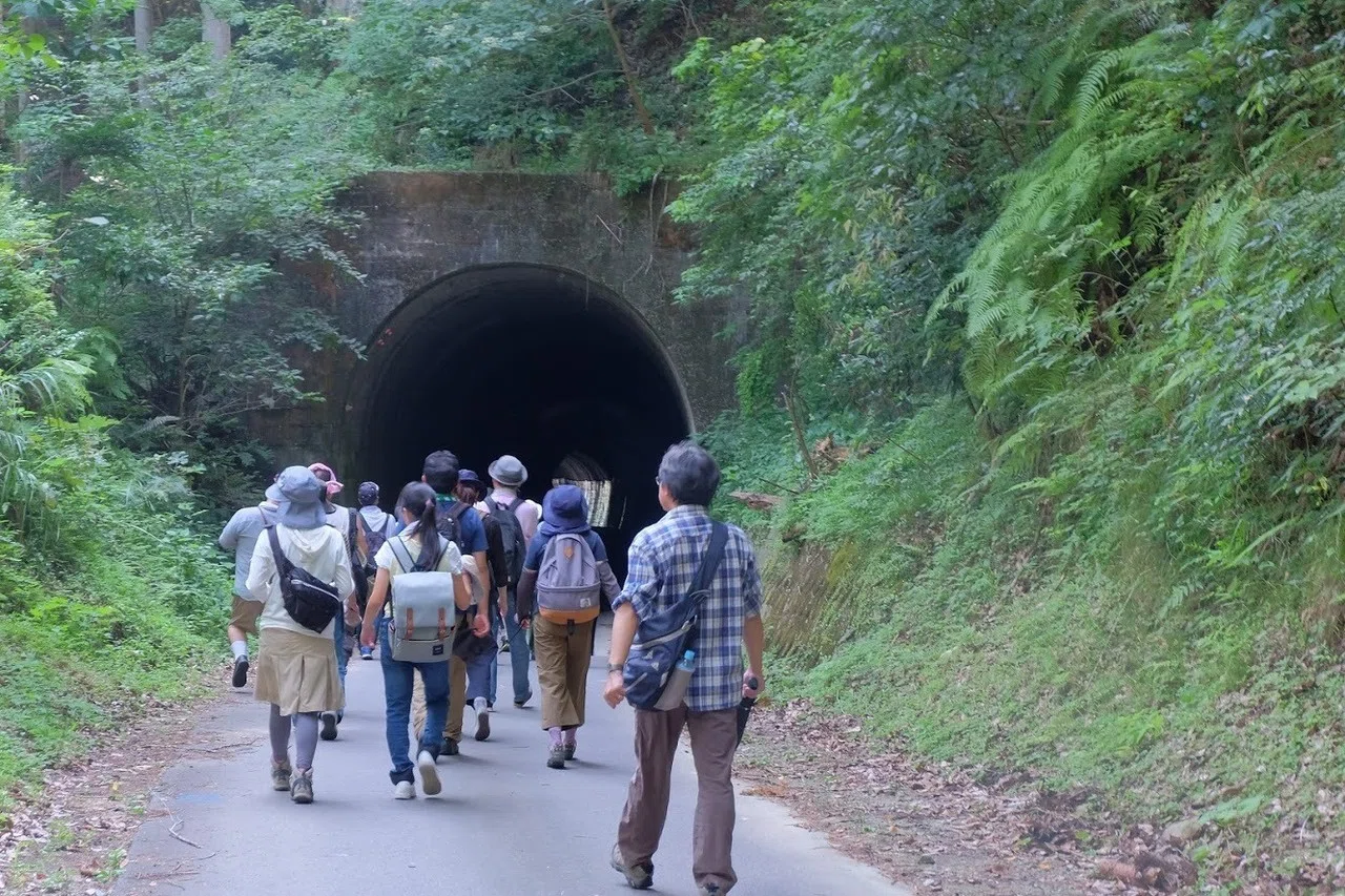 ツアレポ】涼しい夏の田口線廃線！森林ウォーキングツアー｜大ナゴヤ