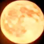 満月の夜の住人