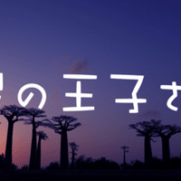 星の王子さま The Little Prince 名言から英語を学ぼう Erika Rose Note