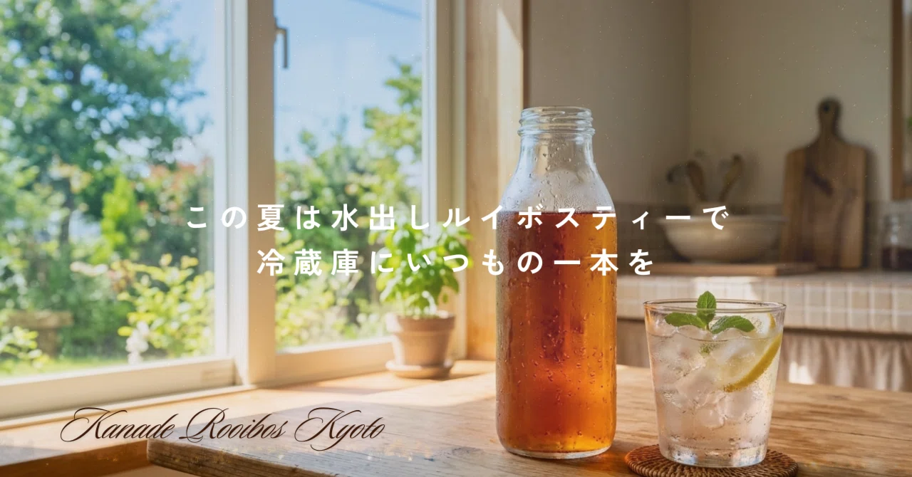 この夏は水出しルイボスティーで ― 冷蔵庫にいつもの一本を｜ルイボス