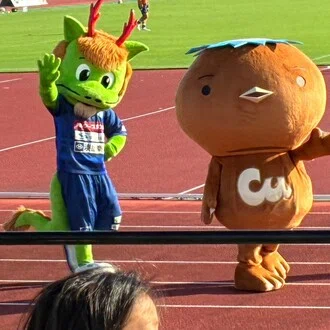 ちぃぽー