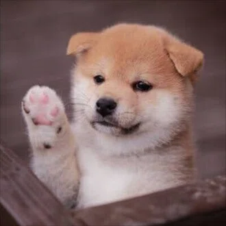 メグ