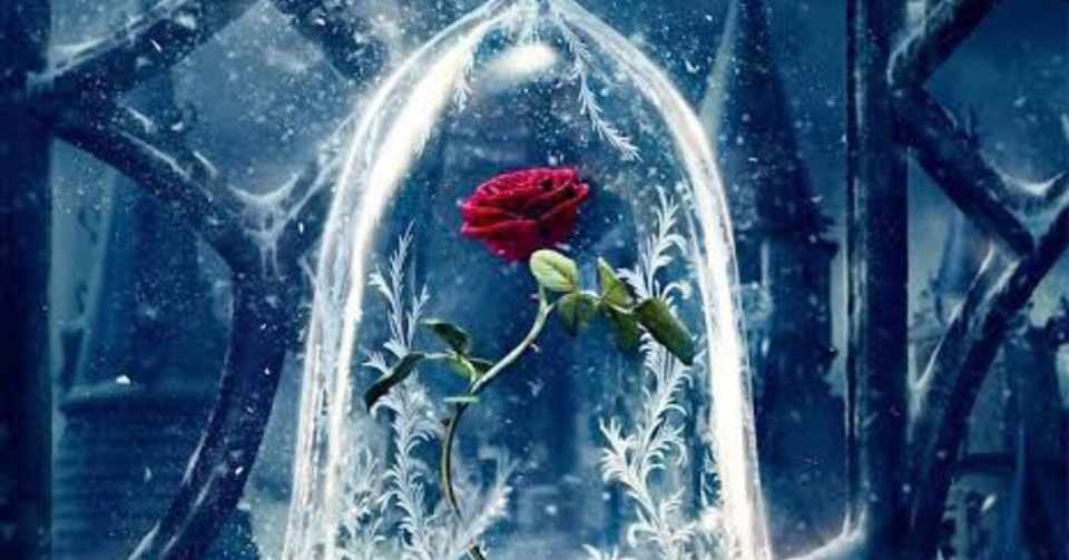 真面目な草食系男子とのlineの内容 Belleの本音 Note