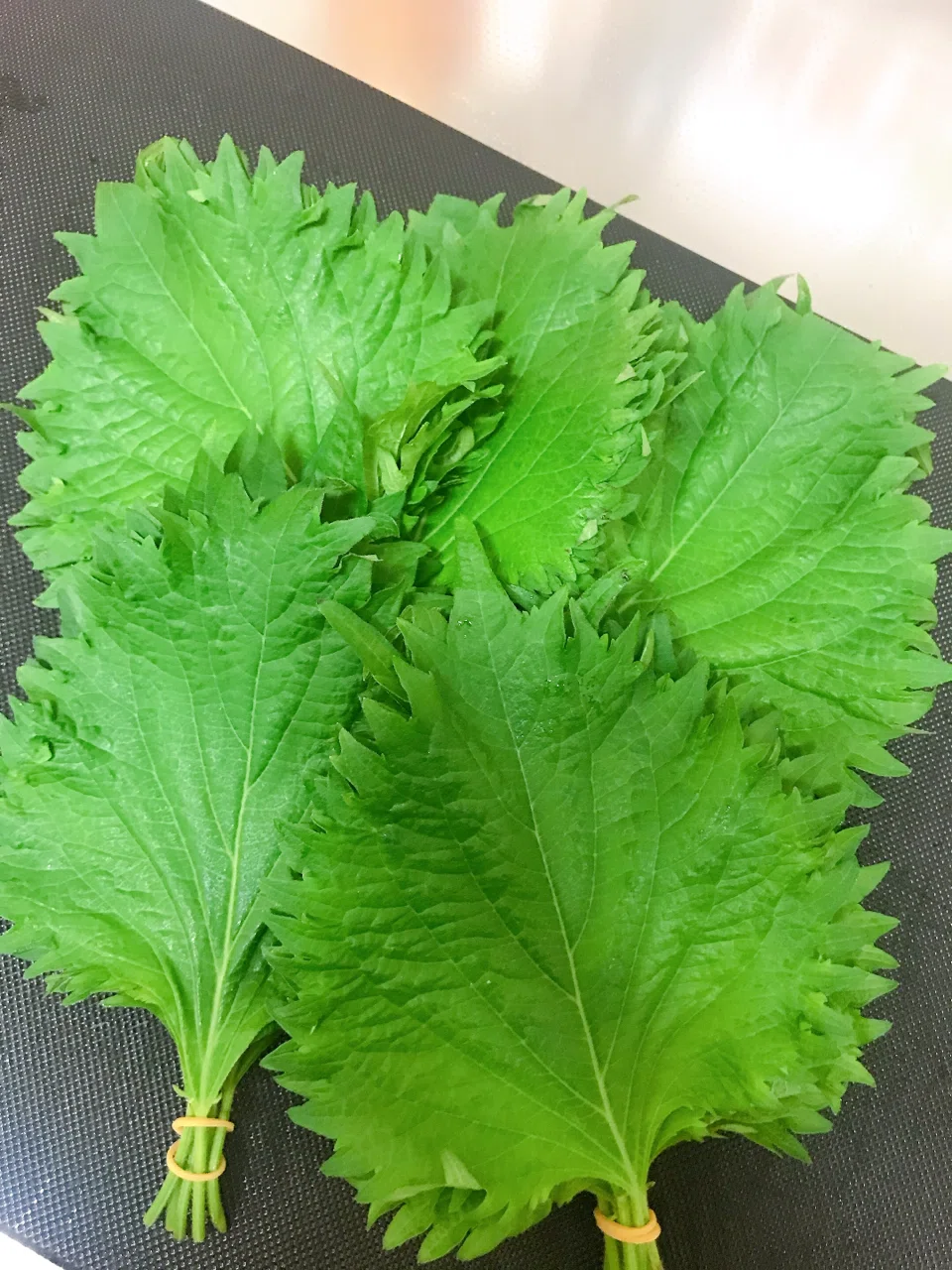 [Extra Spicy] Shiso Leaves Pickled in Extra Spicy Chili! Dad's Recipe ...