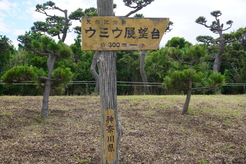心の中のウミウ展望台 フジノート Note 心の中のウミウ展望台 フジノート Note