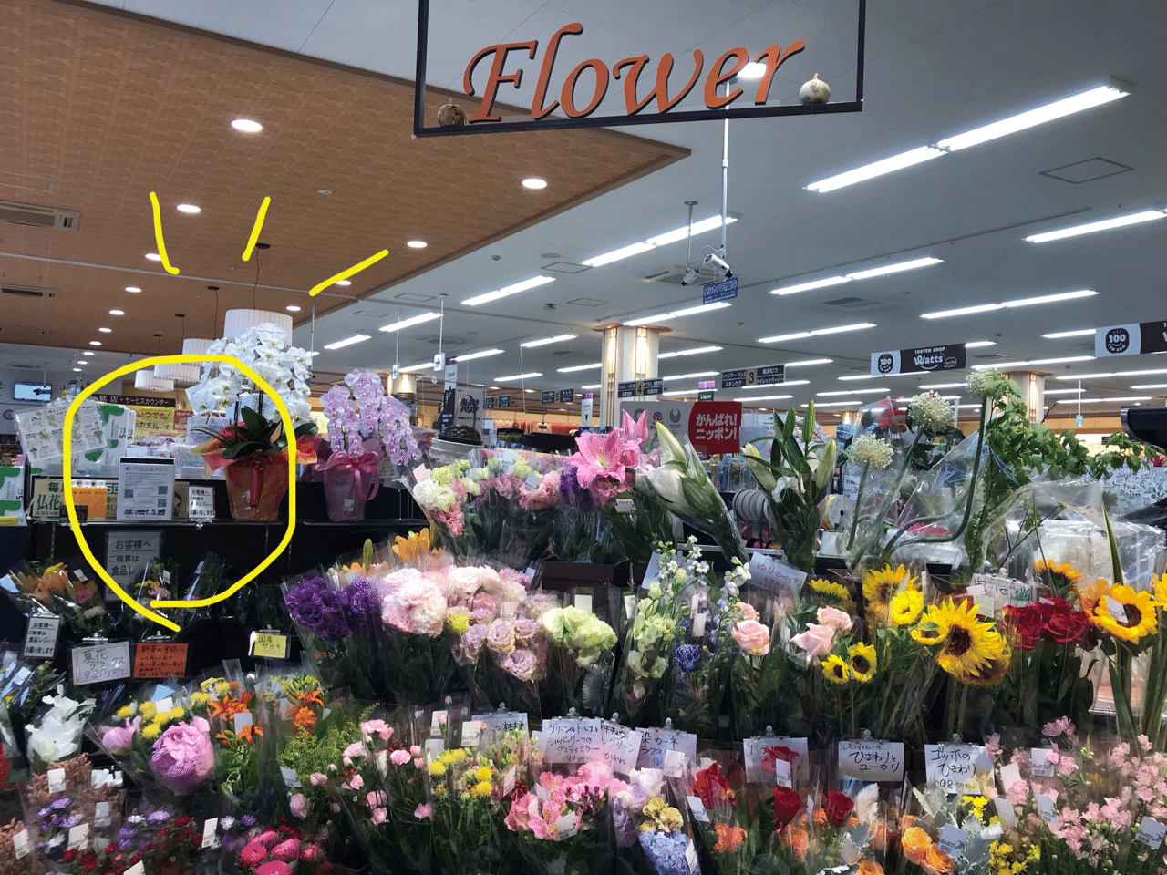 きいてるよスポット フレンドマート宇治莵道店 花屋内 莵道 きいてよこどものこえ Note