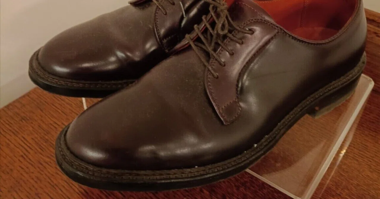 Alden 990 レビュー｜一生モノの靴選び。10年後も後悔しない「資産