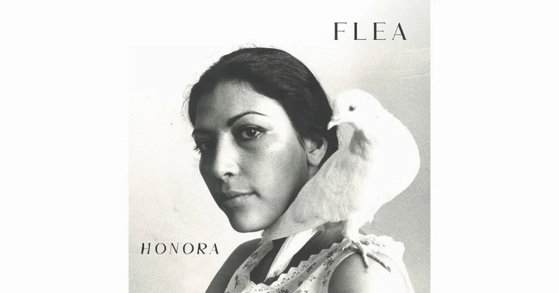 review is a diary 2026:Flea - Honora(4,800字)