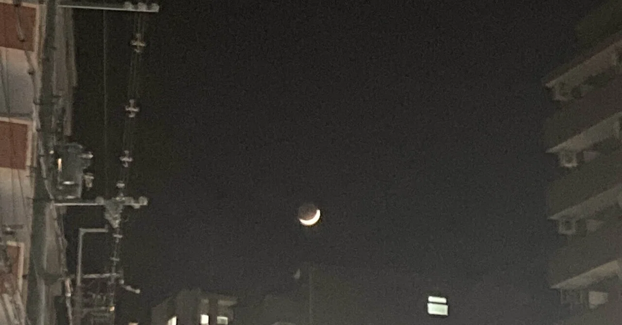 5月の蝿 誰に向けて