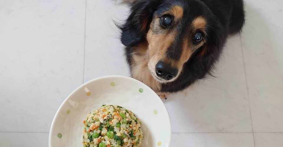 最近イライラして 怒りっぽいのは気滞が原因 そうだ 香味野菜を食べよう Mayumi Note