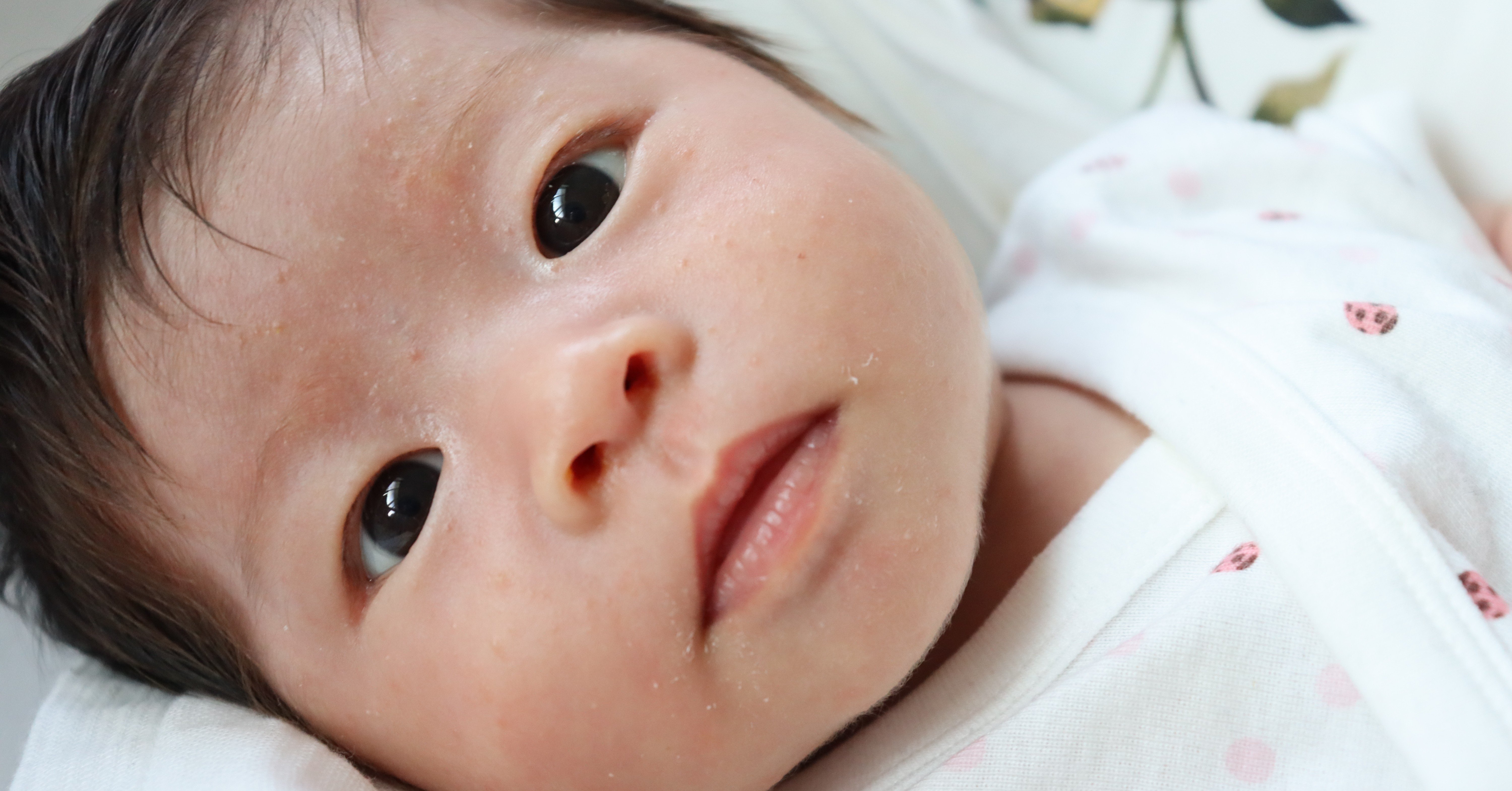 赤ちゃんの 蚊対策 どうしてる 教えて先輩パパとママ ちょんパパblog Note 赤ちゃんの 蚊対策 どうしてる 教えて先輩パパとママ ちょんパパblog Note