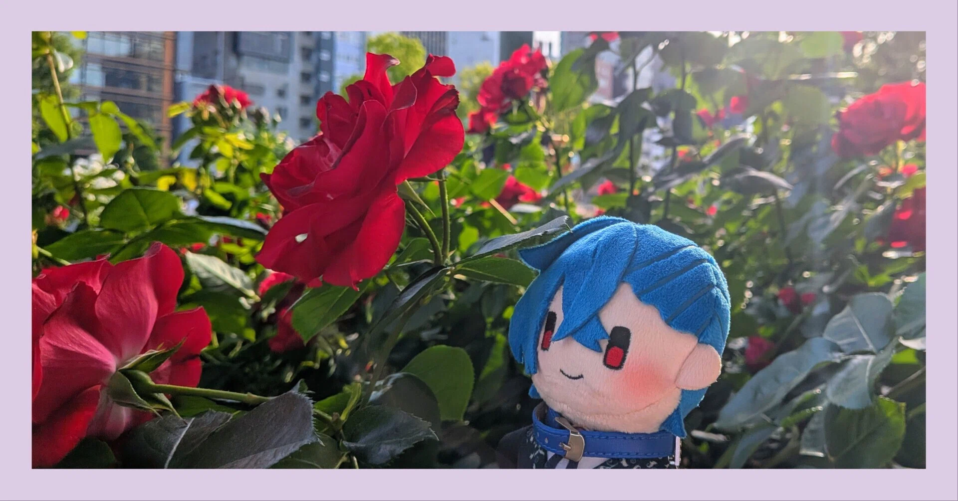 ローズタウンを探す旅 #1 大阪編【ぬい撮り】｜くろまる｜ぬい活と裁縫