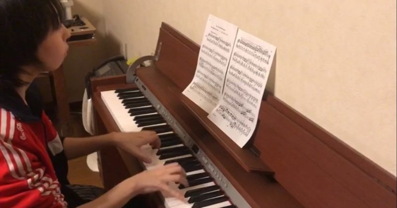 ツイッター見てないしこの先も見ませんよのお知らせ 脱sns依存体験談 Mai Kou Note