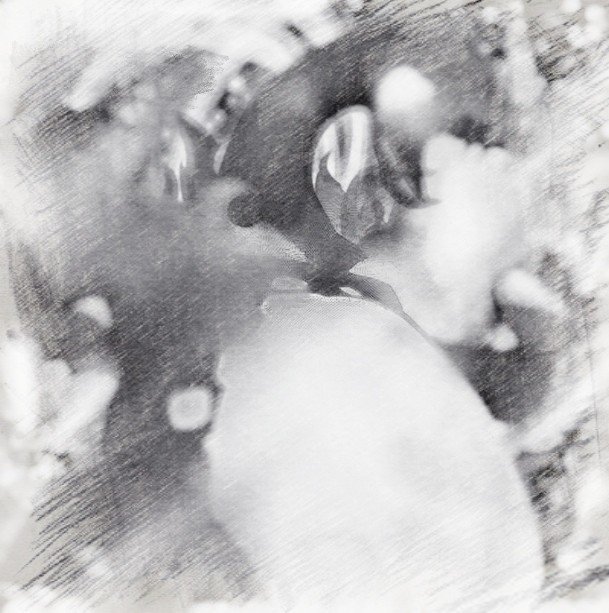 ポケカ リザードンvmaxデッキ紹介 王の帰還 ので Note