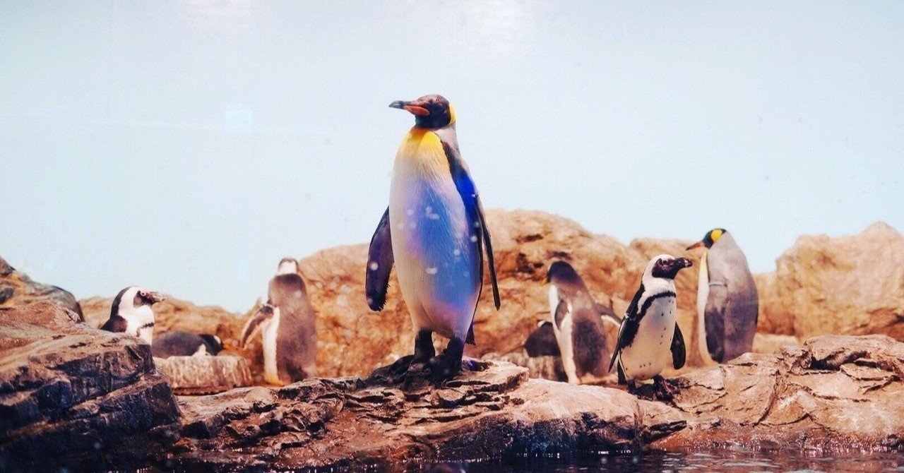 皇帝ペンギンが絶滅するかもしれない話 Note感想文 谷口シン Taniguchi Shin Note 皇帝ペンギンが絶滅するかもしれない話 Note感想文 谷口シン Taniguchi Shin Note