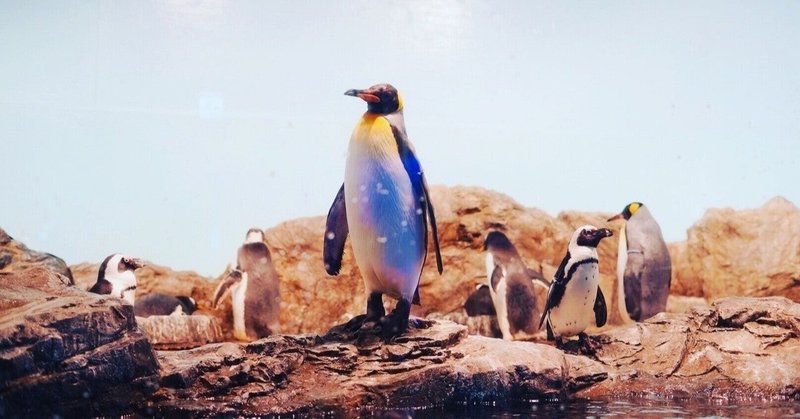 皇帝ペンギンが絶滅するかもしれない話 Note感想文 谷口シン Taniguchi Shin Note 皇帝ペンギンが絶滅するかもしれない話 Note感想文 谷口シン Taniguchi Shin Note