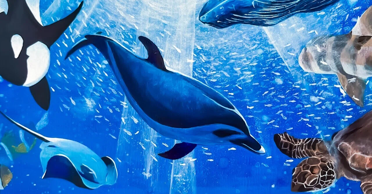 2026年5月に完成した作品たち(4つ)｜桜雨はると｜動物画家
