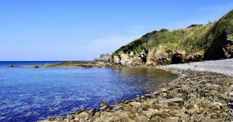 海がとんでもなくキレイ！長崎県壱岐のしま旅【最大8,200円割引】モデルコースもこれはいかが？お一人様から予約可能