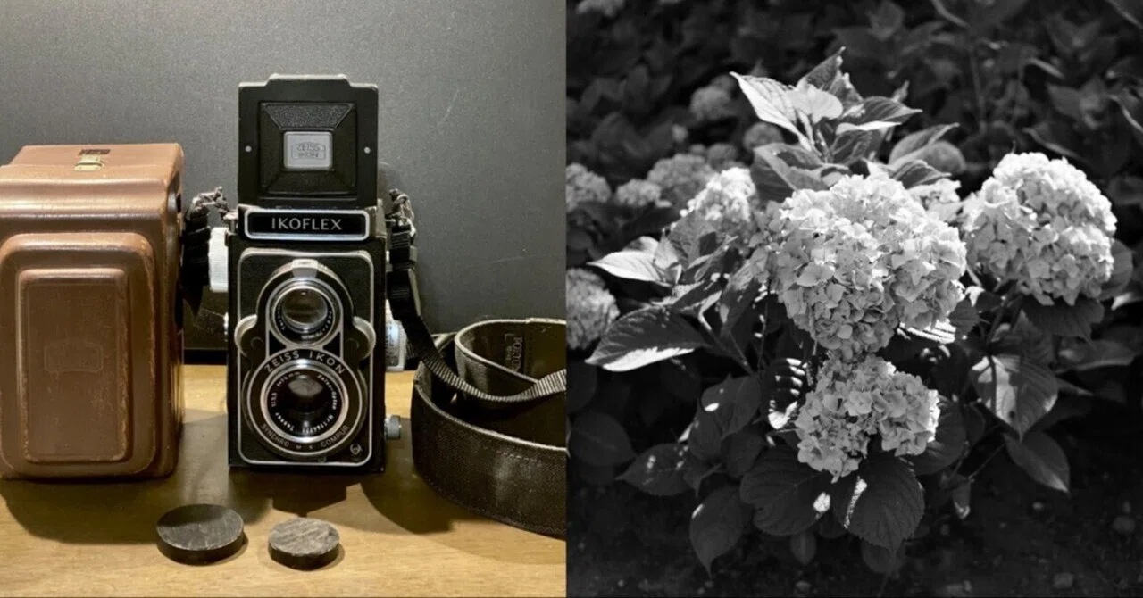 Zeiss Ikon の二眼レフ IKOFLEX ｜光画日々想