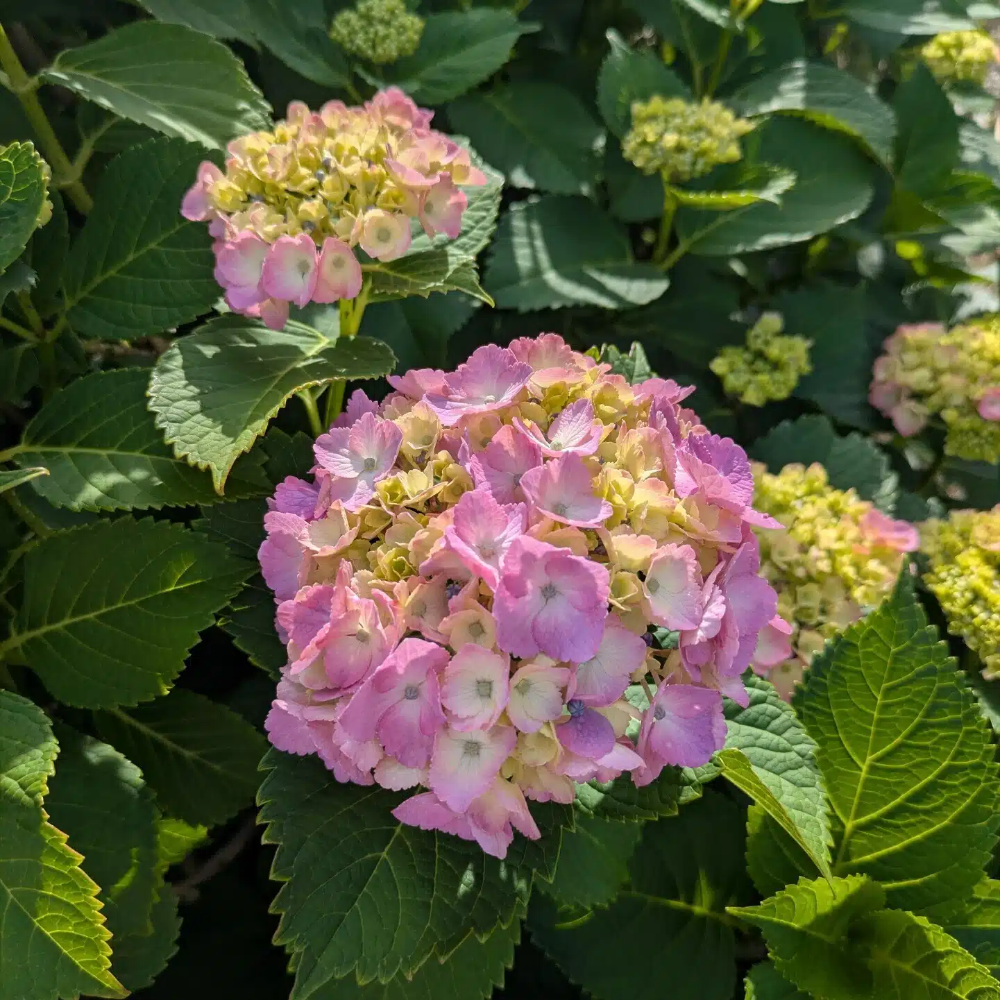 長谷川巳夕