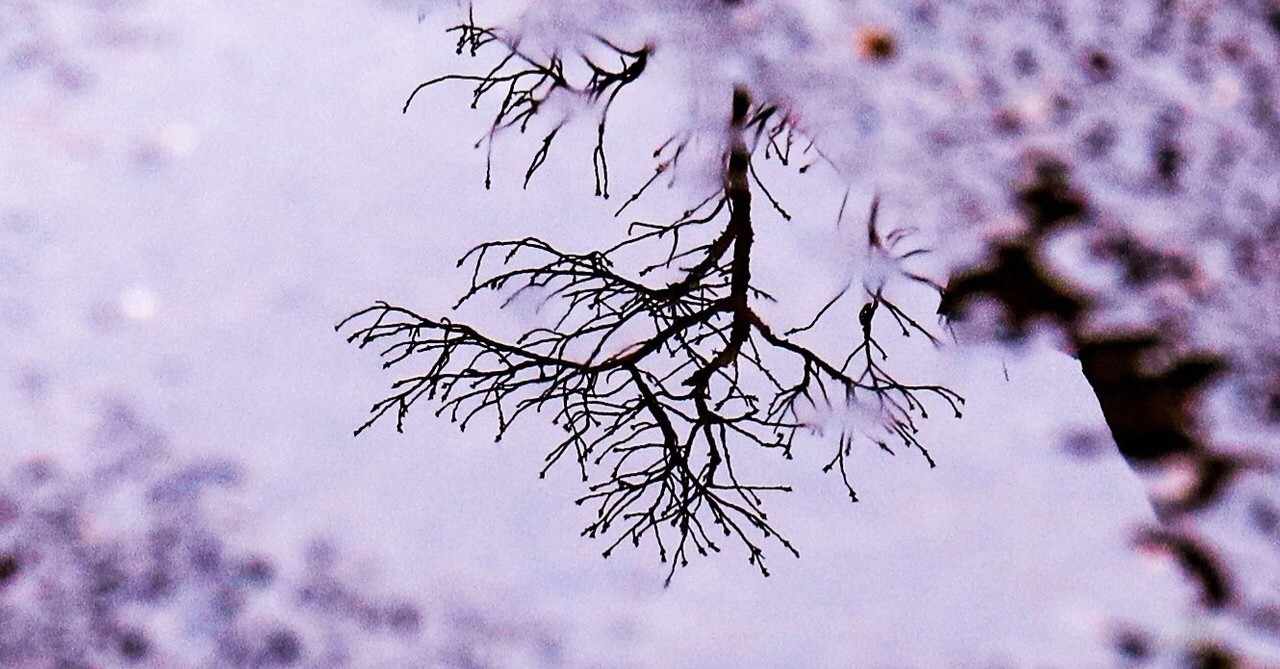 Takafumi Itoの2020年6月のノート Note