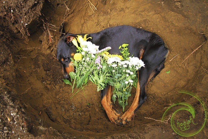 自分のことが好きになれない人へ Koji Note