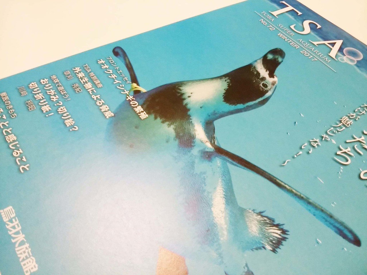 鳥羽水族館 機関誌 Tsa 地球で遊ぼう にて掲載 我流切紙人 ペーパーアーティスト Note