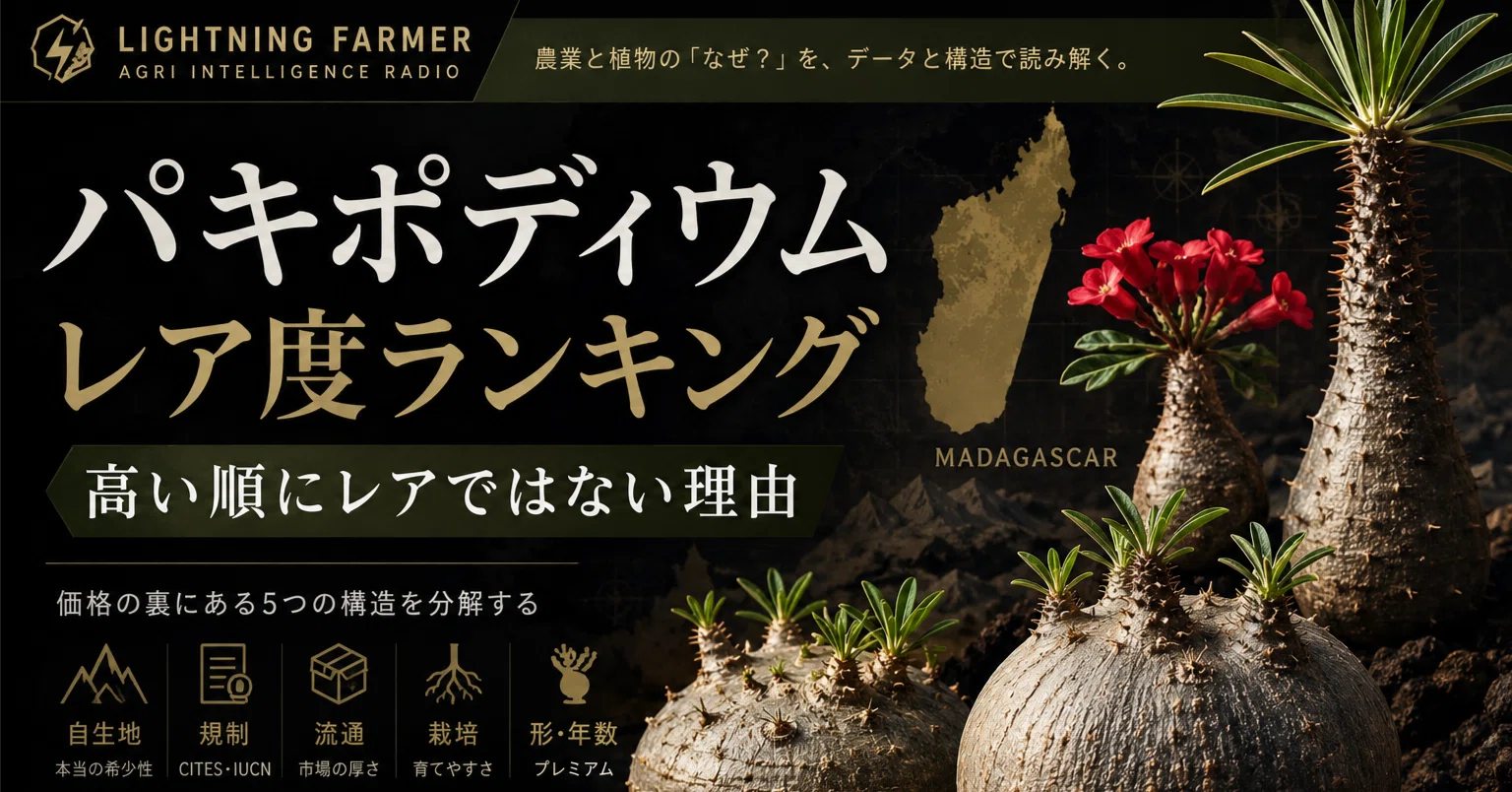 パキポディウムのレア度ランキング｜高い順にレアではない理由｜ライゼン