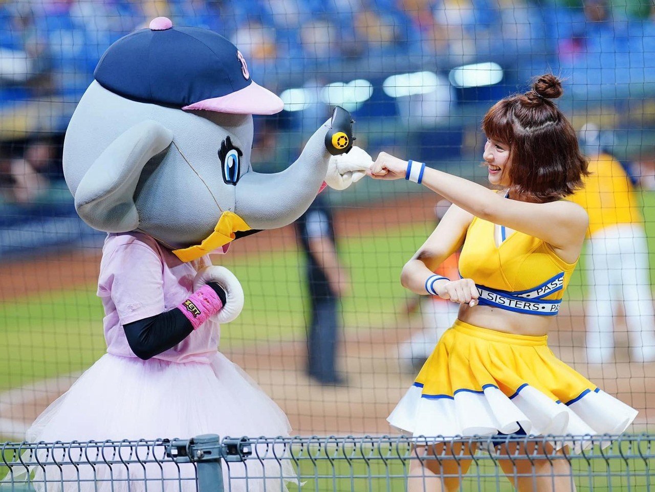 105.【2020年峮峮応援記録 6月-2】しずえ峮峮（チュンチュン）登場に