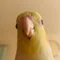 易いいじま